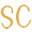 Satisan Icon