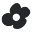 Lardini Icon
