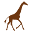 L.G.R Icon