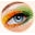 4ICOLOR Icon
