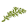Rosemary Events Icon