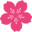 National Cherry Blossom Festival Icon