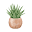 Colasanti's Tropical Gardens Icon