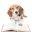 Beagle Bookkeeping Icon