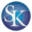 SK Financial Icon