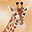 Jungle Jim's - River Safari Icon