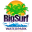 Big Surf Waterpark Icon