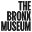 Bronx Museum of the Arts Icon