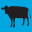 Noosa Yoghurt Icon