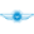 Dronethusiast Icon