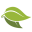 Natura Icon
