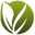 MySeeds.Co Icon