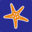Sea Life Icon