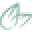 Herbal Concepts Icon