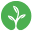 Green Floral Crafts Icon