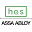 Assa Abloyesh Icon