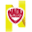 Nady Systems Icon