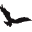 Hawke & Co. Icon