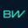 BorgWarner Icon