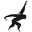 Gibbon Slacklines Icon
