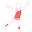 Richard Simmons Icon