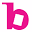 Bridgeman Images Icon