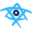 Birthright Israel Icon