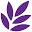 Thymely Icon