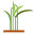 Tallgrass Beef Company Icon