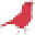 Natureguy Studio Icon