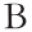 Bowen Craggs Icon