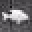 TeamCordwoodllc Icon