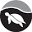 Turtle Moon Health Icon