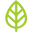 NaturaliTea Icon