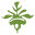 Arcadia Garden Products Icon