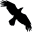 Le Noir Bazaar Icon
