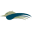 Swiftlet Technology Icon
