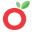 Revolution Foods Icon