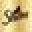 Sheba Icon
