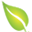 Matcha DNA Icon
