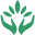 Tree Sisters Icon