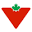 Canadian Tire Icon