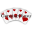 Ginsu Icon
