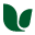 Uncle Lee's Tea Icon