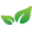 Jiva Organic Foods Icon