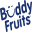 BuddyFruits Icon