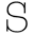 Sportmax Icon