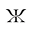 KOBI HALPERIN Icon