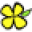 Magnolia Lane Icon
