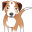 Dawgs on the Go Icon